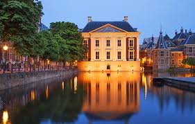 Image result for the hague