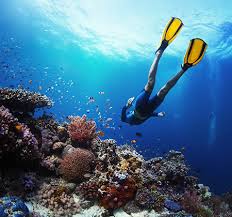 Image result for underwater rugby cali colombia 2015