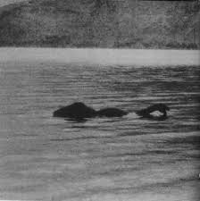Il Mostro di Loch Ness  Images?q=tbn:ANd9GcTcUWZfODz5HHmrYwtDvEm3TUUPfYCsYkscCZrsiVZPe85glEPk