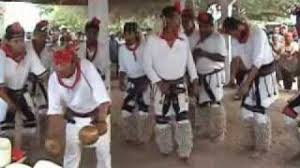 Resultado de imagen para danzas de etchojoa