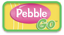 Image result for pebblego