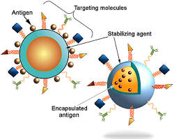 Nanoparticle vaccines invention