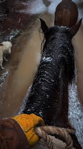 I remember the first time I heard this song. I was actually ...