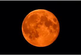Image result for solar eclipse 2015
