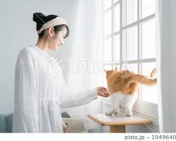 猫と遊ぶ飼い主の画像