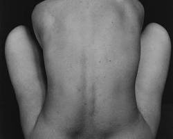 Edward Weston Nude resmi