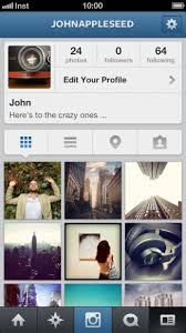 Cool Instagram Bio Quotes. QuotesGram via Relatably.com