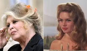 Brigitte Bardot Hospitalizada: Estado de Saúde da Lenda Preocupa!
