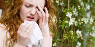 Preventing Hay Fever: The Importance of Carrying a Wet Flannel Cloth Everywhere - 1