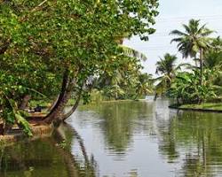 Image of Kumarakom Backwaters Kerala