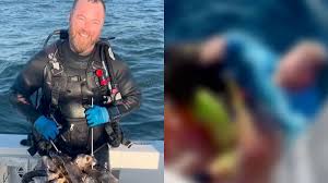 Capitão pula no mar para salvar mergulhador mordido por tubarão