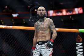 The Playoffs - News update