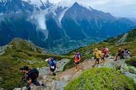 Trend Google: utmb