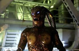 Image result for species