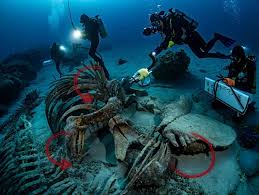 Sonu Kumar - 16-Meter Sea Monster Skeleton Found Near Niigata—Japan Sea's Mythic Enigma? In the deep waters of the Sea of Japan near Niigata, divers reportedly uncovered a 16-meter-tall skeleton with fin-like