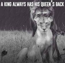King And Queen Lion Quotes. QuotesGram via Relatably.com