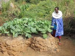 Image result for keyhole garden africa