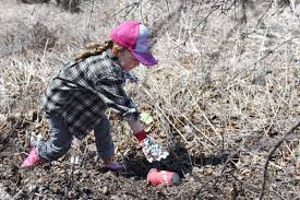 Earth Day 2026: What Events Are Planned Across Waterloo Region?