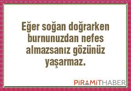 ilginç bilgiler ile ilgili görsel sonucu