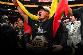 UFC.com.br