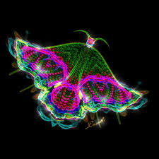 Image result for animated butterflies wallpaper