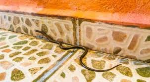 Modes et travaux - News update