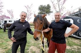 News source: Nice-Matin