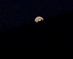 Immagine di Luna piena sopra una collina notturna