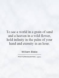 To see a world in a grain of sand and a heaven in a wild flower,... via Relatably.com