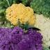 Farmers market finds new venue -- on a rooftop park in downtown ...