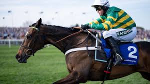 Fact To File: The Horse Taking Centre Stage in Ryanair Chase Buzz