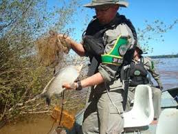 Resultado de imagem para pesca rs