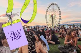 What happens when you pretend to be an influencer at Coachella?