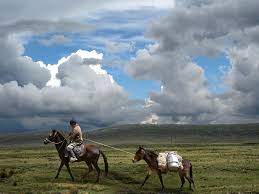 Resultado de imagen para fotos: en  Cerro de Pasco, viajero a caballo