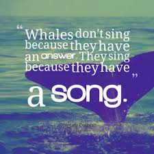 Cute Whale Quotes. QuotesGram via Relatably.com