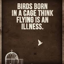 birds #born in a #cage #think #flying is an... - The Daily Life via Relatably.com