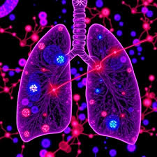 Machine learning uncovers senescence signatures that predict lung adenocarcinoma outcomes