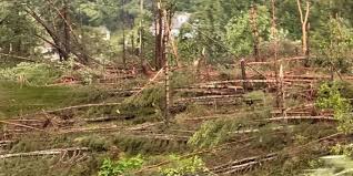 National Weather Service confirms tornado in Broome & Delaware Counties