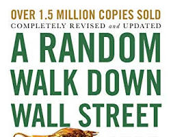 Image of Random Walk Down Wall Street book