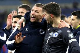 Selección De Fútbol De Bosnia Y Herzegovina