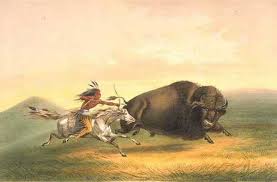 Image result for Comanche