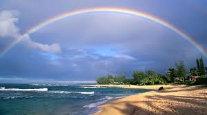 Image result for hawaii