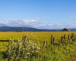 Image of Eureka California in Spring