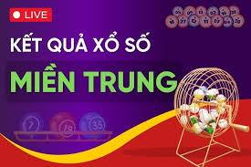 Pháp Luật và Xã hội - News update