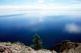 Image result for БАЙКАЛЬСКИХ АМФИПОД