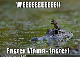 gator mom 