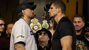 Trend Google: usyk vs rico