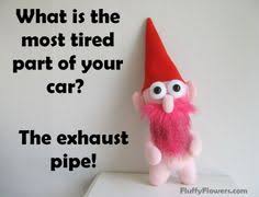 Image result for picture of Gnome cop