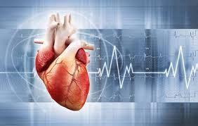 Optimizing Anticoagulation Approaches for COVID-19 Hospitalized Noncritical Patients: A Randomized Trial - 8