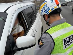 버스전용차로 아이콘